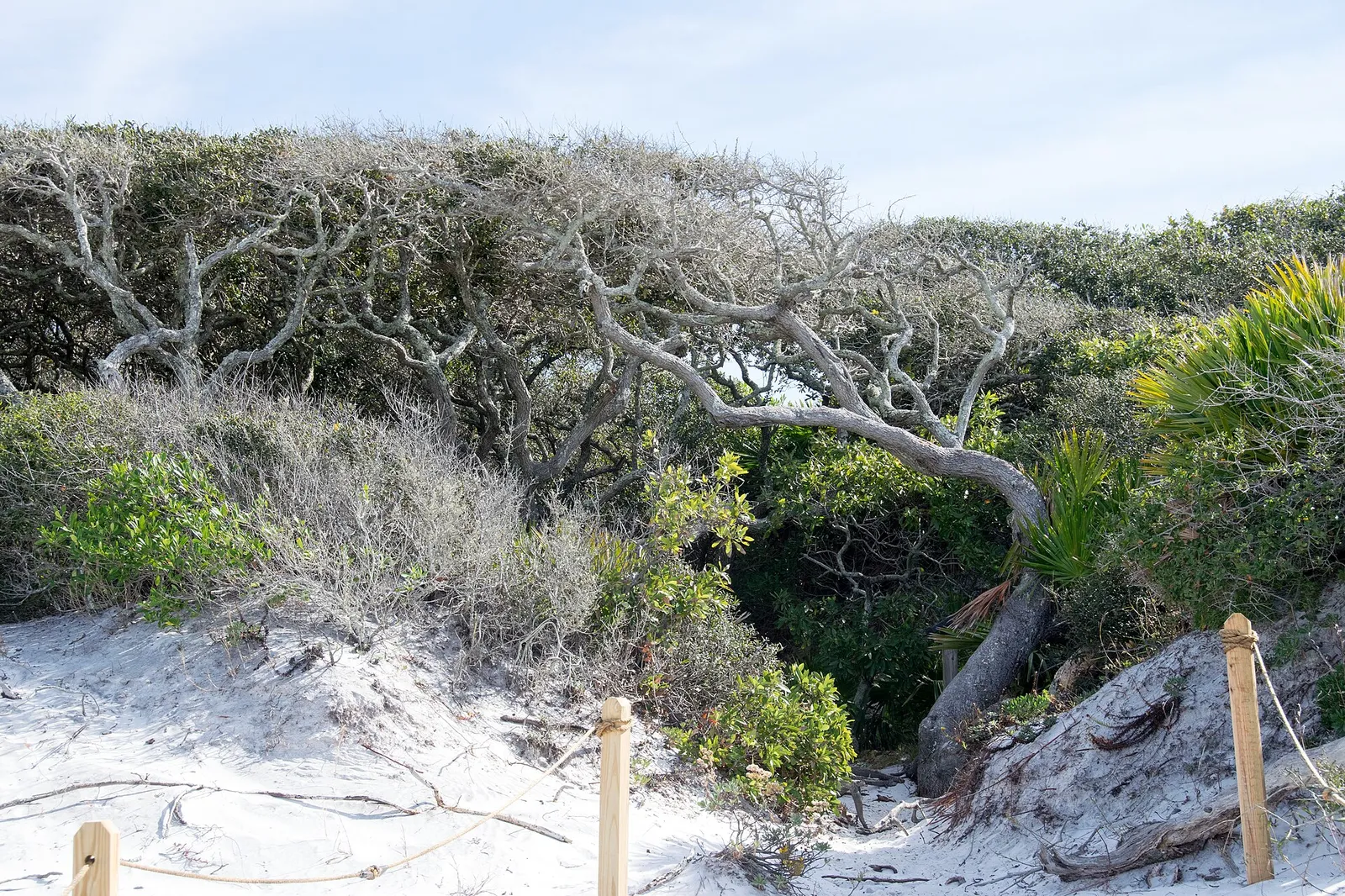 30A With Kids: A Family Guide