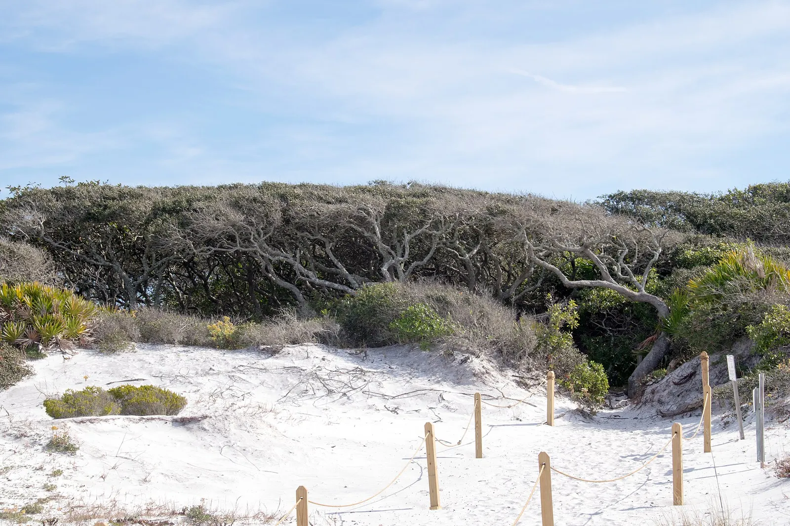 Grayton Beach, Florida: A Local's Guide to 30A's Funkiest Town