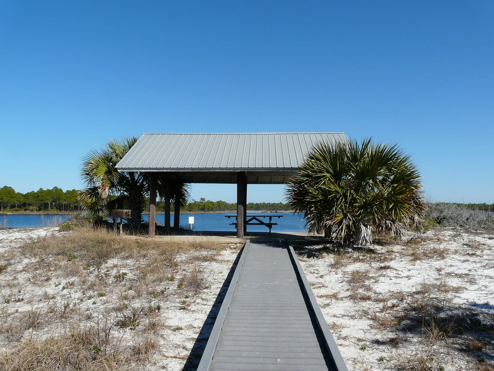Boardwalk leading to a picnic shelter framed by palmettos, with Western Lake beyond, at Grayton Beach State Park