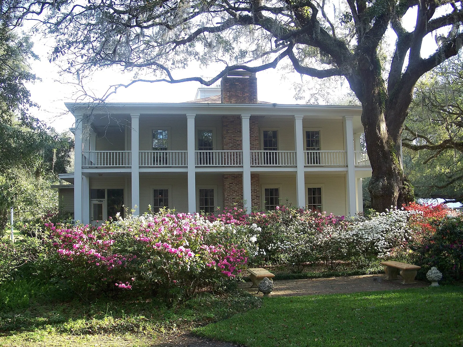 White-columned two-story Wesley House behind blooming pink and white azaleas under a spreading live oak at Eden Gardens State Park