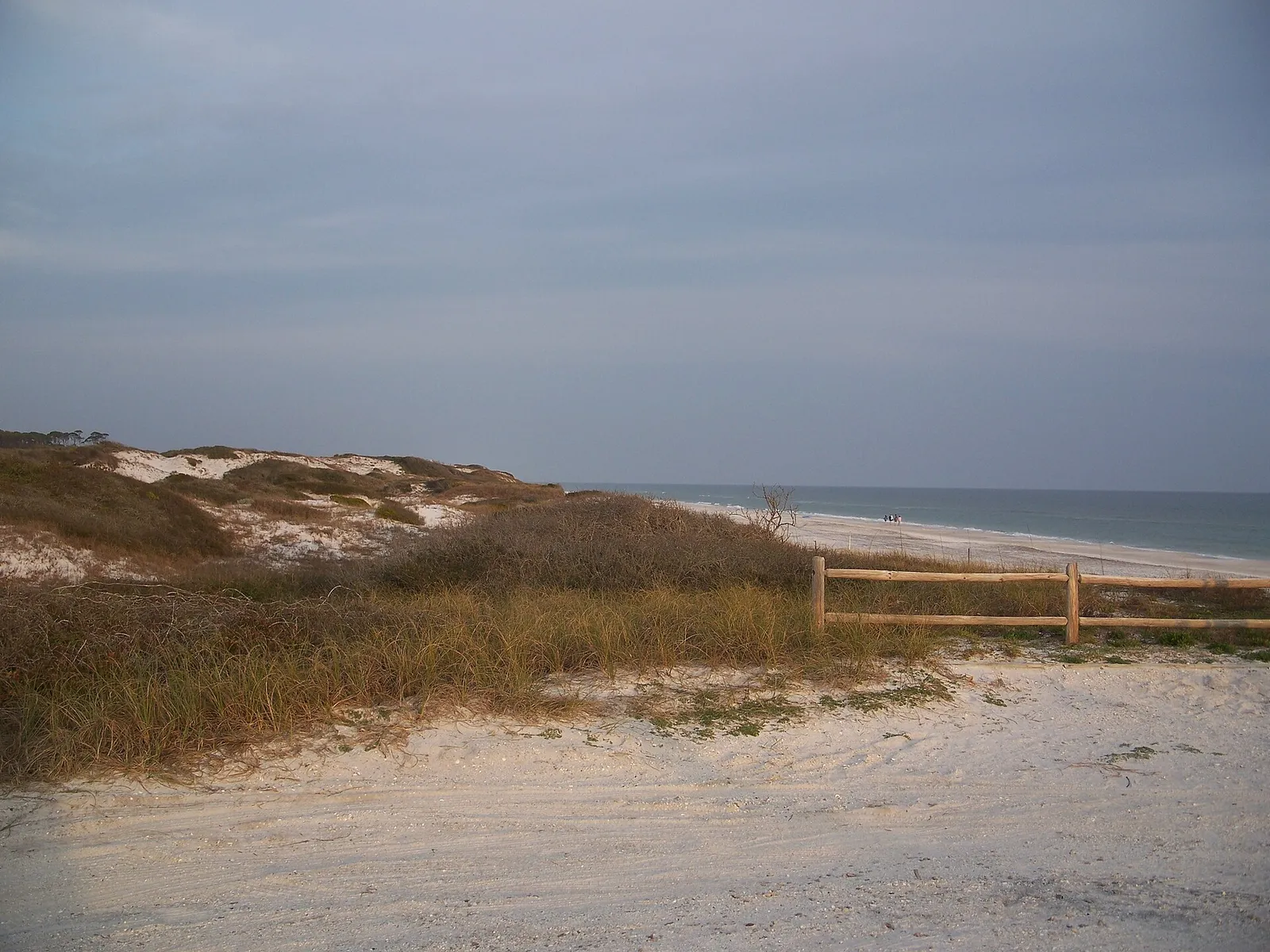 Grassy dunes, a wooden fence and an empty beach under a gray sky at Grayton Beach State Park