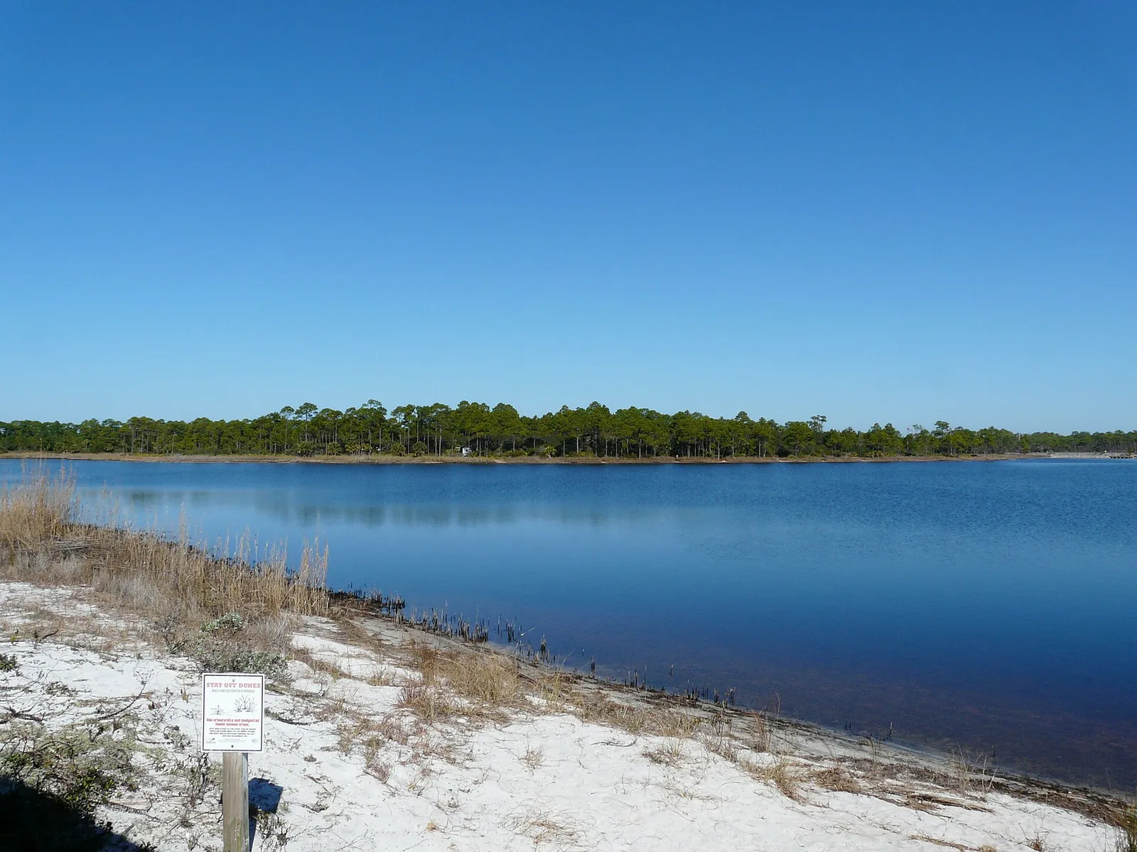 Exploring 30A's Rare Coastal Dune Lakes