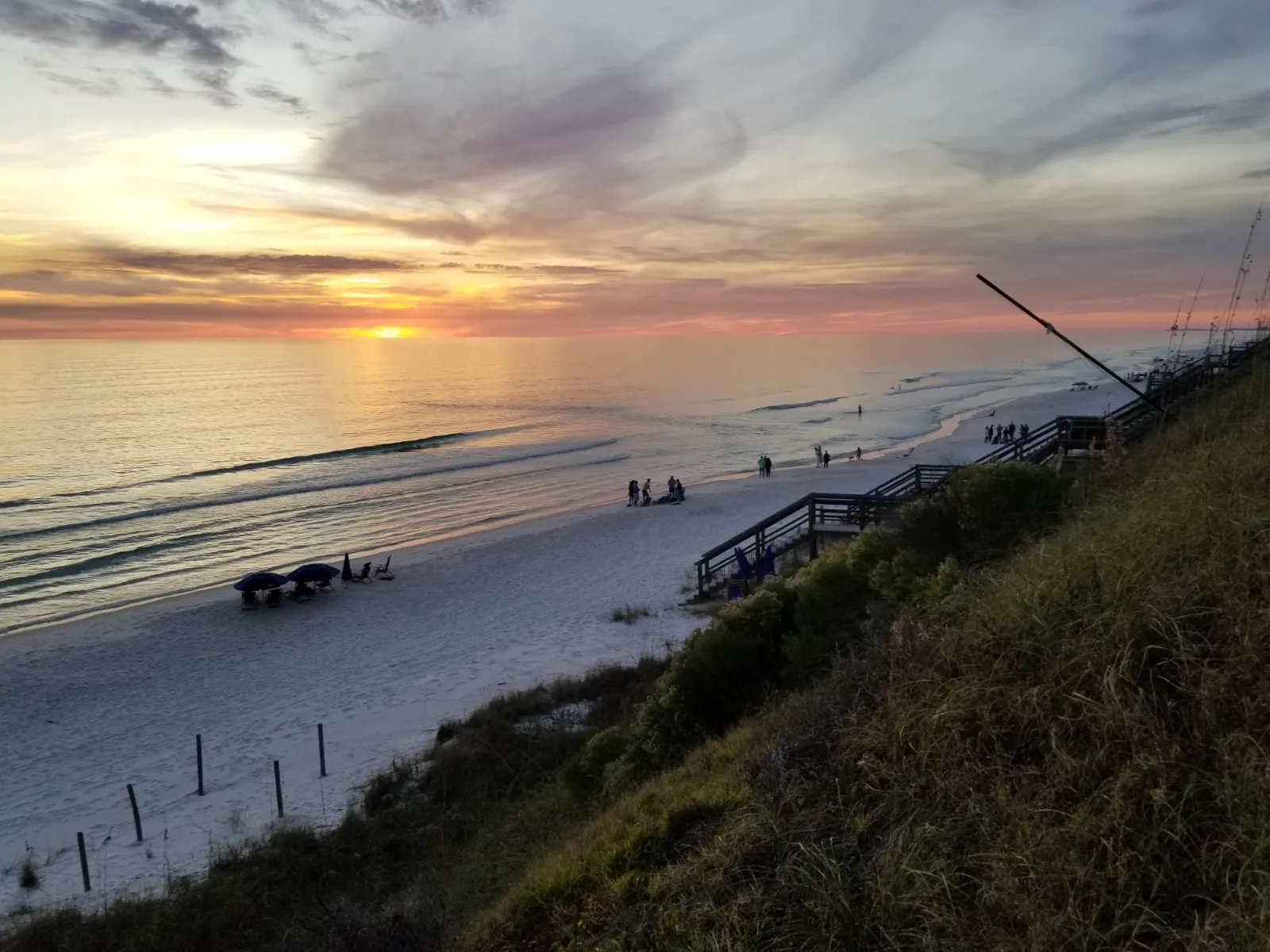 Best Restaurants on 30A: Where to Eat for Every Occasion (2026 Guide)